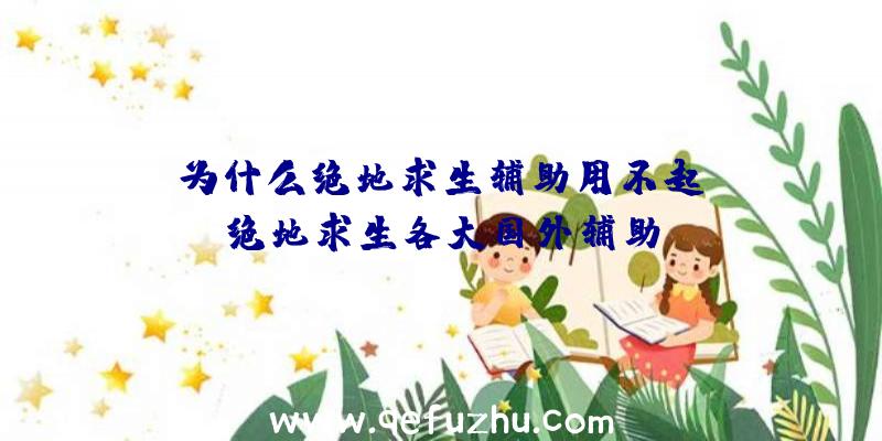 「为什么绝地求生辅助用不起」|绝地求生各大国外辅助